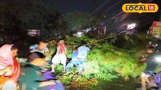 রাস্তায় গাছ পড়ে