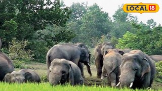 প্রতিকী ছবি প্রতিকী ছবি