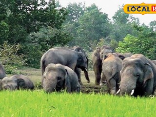 প্রতিকী ছবি
