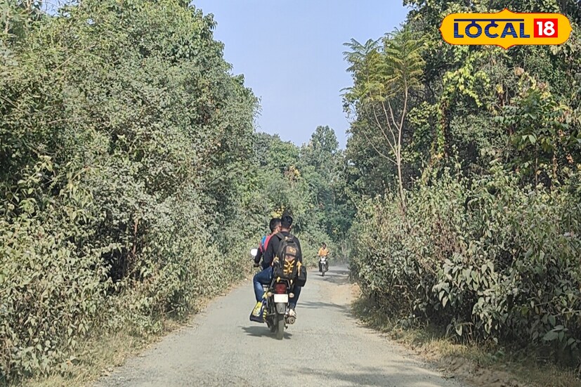 আর এবার পুরুলিয়া বেড়াতে আসলে পর্যটকদের প্রকৃতির আরও কাছে থেকে দেখার সুযোগ মিলছে। ‌কারণ সম্প্রতি অযোধ্যা পাহাড়ে চালু হয়েছে বাইকে করে ভ্রমণের ব্যবস্থা।