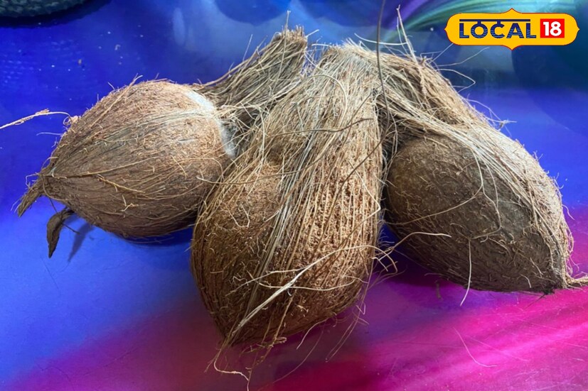 নারকেল খেতে কে না পছন্দ করে। নারকেলের জল ও শাঁসের স্বাস্থ্য উপকারিতা অনেক। এছাড়াও নারকেলের দুধ ও তেল পুষ্টিগুণে ভরপুর। নারকেল খেতে কে না পছন্দ করে। নারকেলের জল ও শাঁসের স্বাস্থ্য উপকারিতা অনেক। এছাড়াও নারকেলের দুধ ও তেল পুষ্টিগুণে ভরপুর।