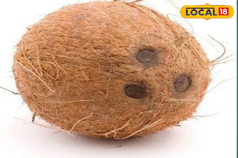 নারকেলে বেশি ক্যালোরি থাকায় তা দ্রুত শরীরে শক্তি যোগায়। তাই কাজের মাঝে ক্লান্তি আসলে বা হালকা খিদে পেলে নারকেল খেলে তাৎক্ষণিক এনার্জি বাড়বে।