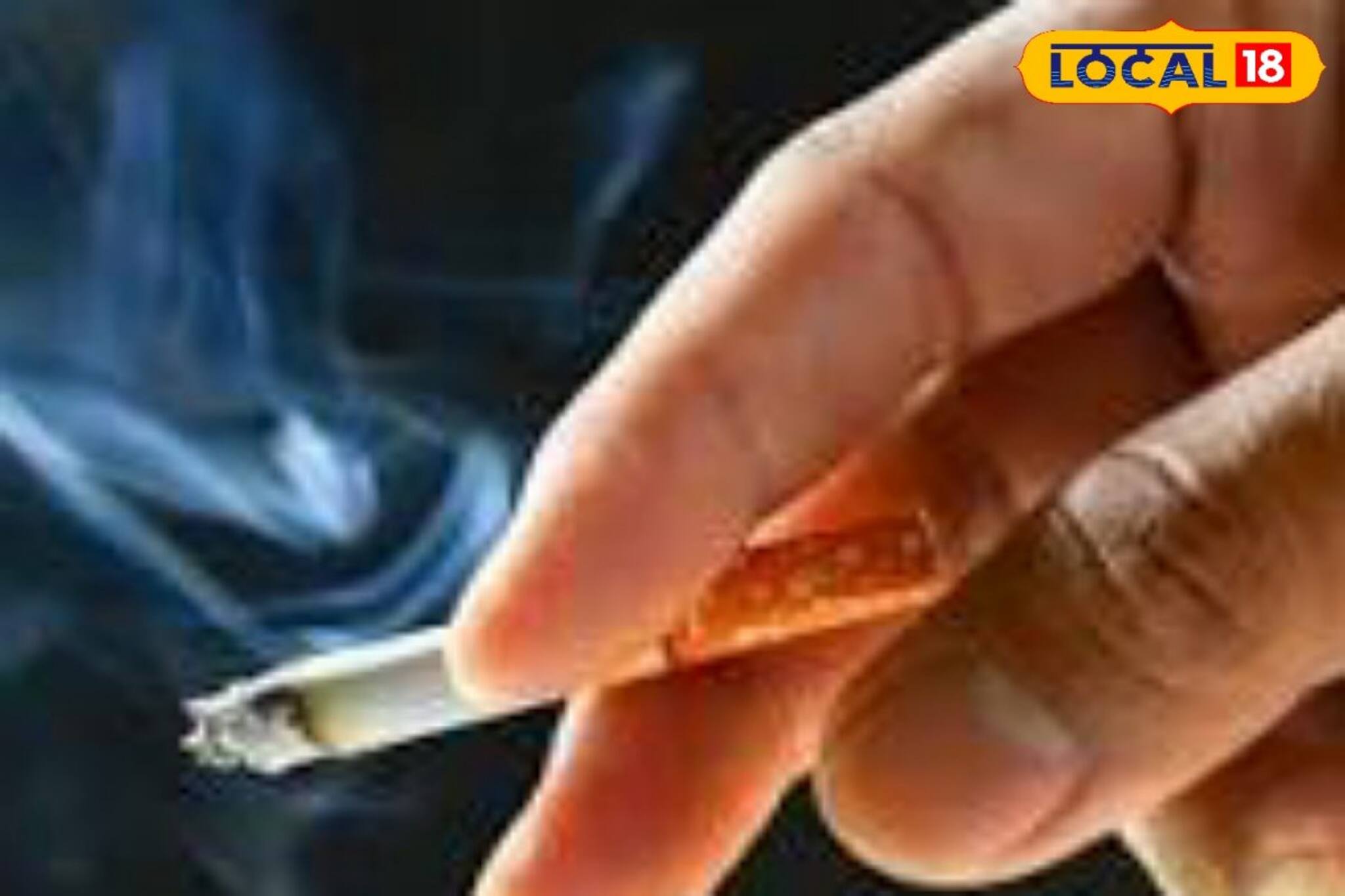 জঙ্গলে ঘুরতে গেলে ভুলেও এই কাজ করবেন না! তাহলেই হতে পারে মহা বিপদ!