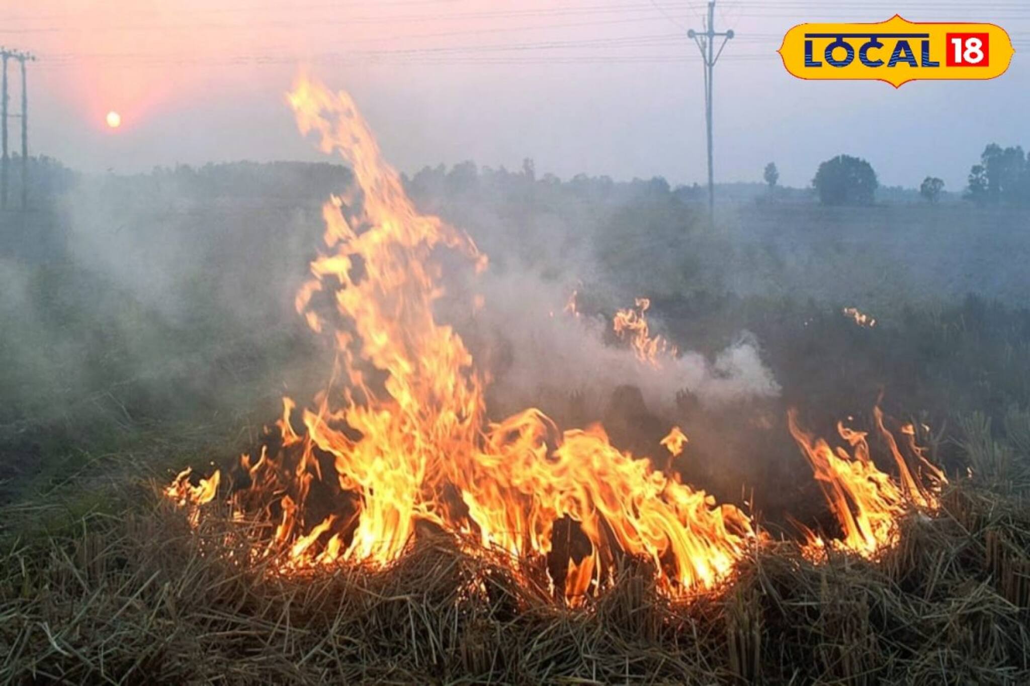 নাড়া পোড়ালে লাভের থেকে ক্ষতি বেশি! কৃষক বন্ধুরা এখন‌ই সতর্ক হোন