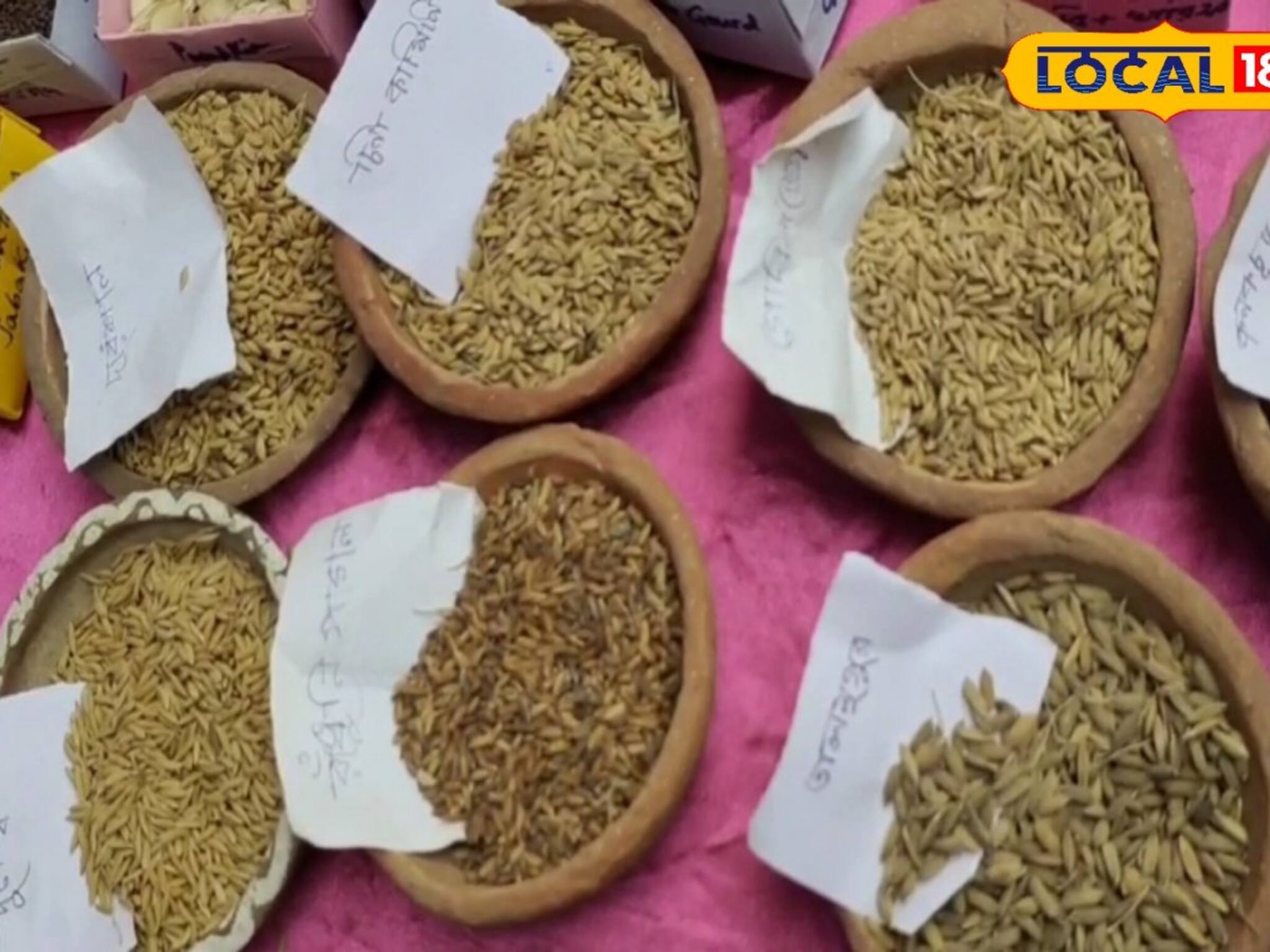 রাঁধুনি পাগল, কেরল সুন্দরী এগুলো কী বলুন তো? এই মেলায় এলে তবেই পাবেন উত্তর