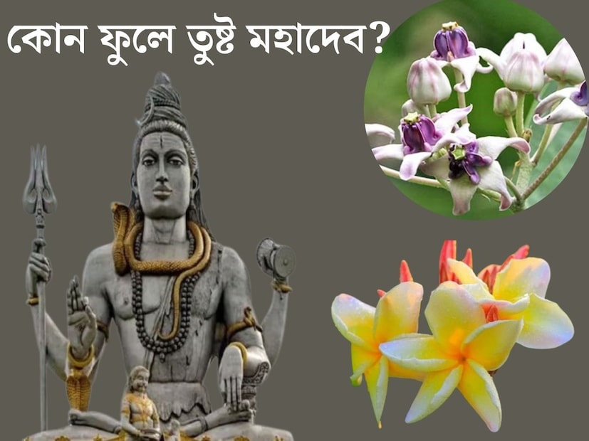 কিছুদিন পরেই শিবরাত্রি। শাস্ত্রমতে এই দিনের বিশেষ গুরুত্ব রয়েছে। এইদিন মহাদেবের পূজা করবেন ভক্তরা। কিন্তু জানেন কী মহাদেবের পুজোয় ফুল দেওয়া উচিত?