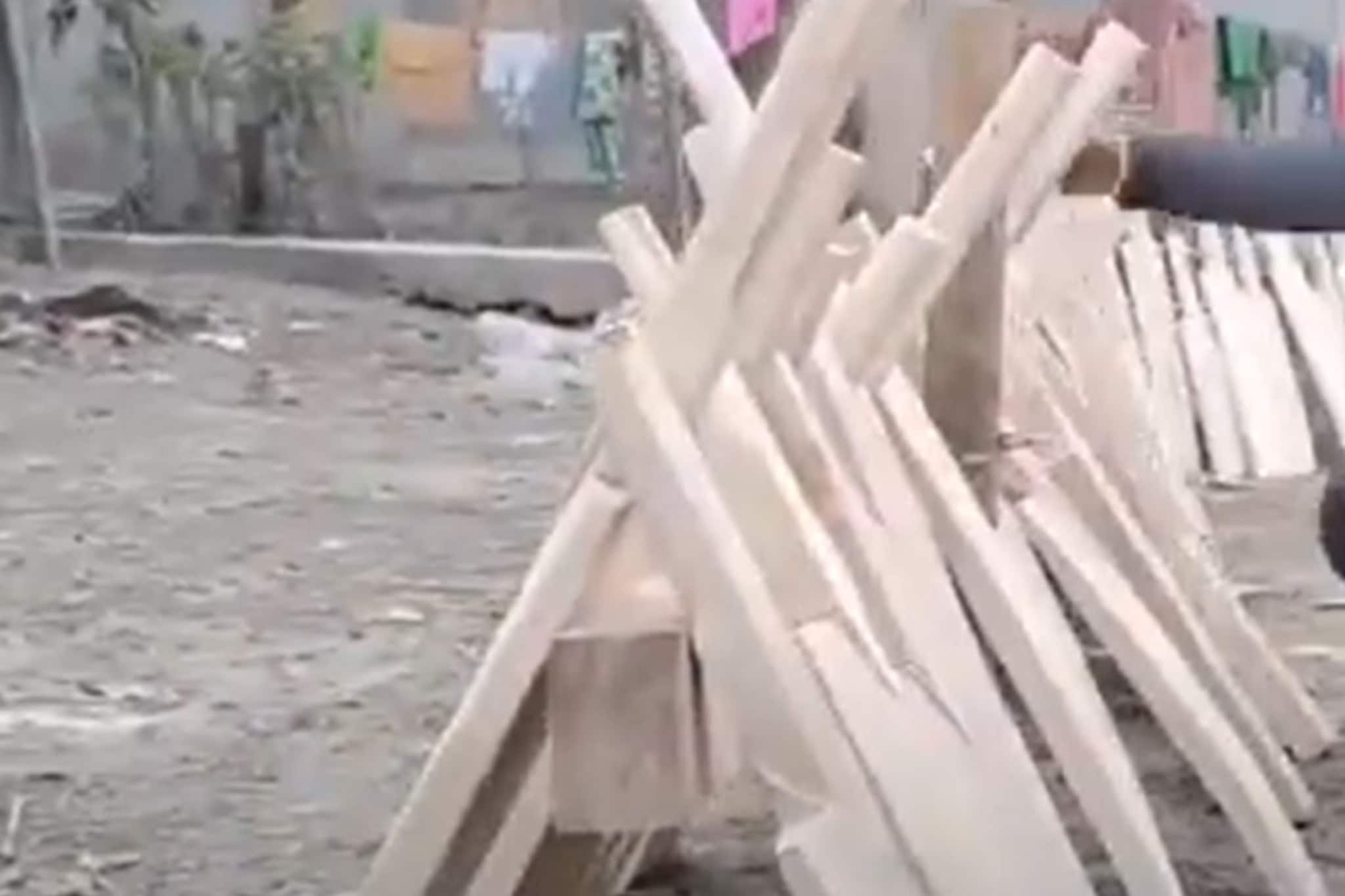 ক্রিকেট ব্যাট বানিয়েই ক্রিকেটার হওয়ার স্বপ্ন পূরণ! কীভাবে? জানলে চমকে যাবেন