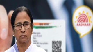 পোর্টাল খুলছে সরকার