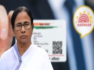 পোর্টাল খুলছে সরকার