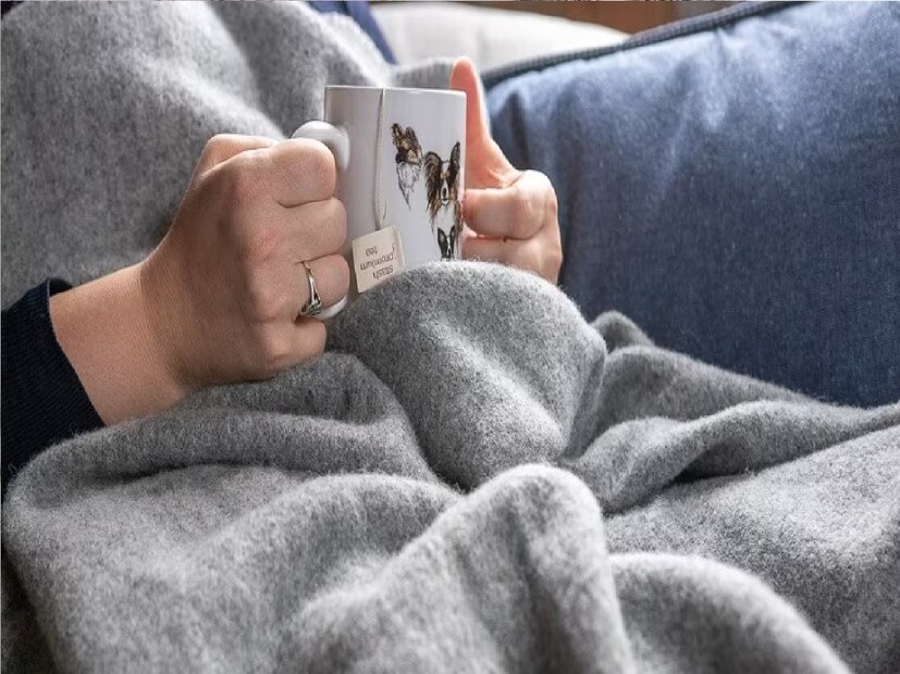 *Blanket Cleaning Tips: শীত বিদায় এখন সময়ের অপেক্ষা। কলকাতায় শীত ইতিমধ্যেই বিদায় নিয়েছে। যেভাবে তাপমাত্রা বাড়ছে তাতে না শীত, না গরমে নাজেহাল অবস্থা। অনেকে লেপ-কম্বল নিয়ে বিভ্রান্তিতে পড়েছেন। লেপ-কাঁথা-কম্বল সব তুলে রাখবেন নাকি আরও কিছুদিন বাইরে রাখবেন? তা নিয়ে দ্বিধার শেষ নেই।
