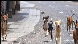 প্রতীকী ছবি৷ প্রতীকী ছবি৷