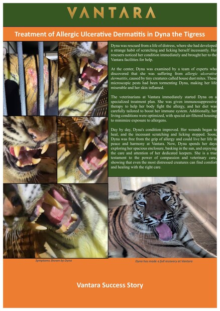 এর পাশাপাশি ইন্টারন্যাশনাল ইউনিয়ন ফর কনজারভেশন অফ নেচার (আইইউসিএম) এবং প্রকৃতির জন্য ওয়ার্ল্ড ওয়াইল্ডলাইফ ফান্ড (ডব্লিউডব্লিউএফ)-এর মতো স্বনামধন্য আন্তর্জাতিক বিশ্ববিদ্যালয় এবং সংস্থার সঙ্গে উন্নত গবেষণা ও সহযোগিতাকে একীভূত করার দিকেও মনোনিবেশ করে Vantara। 
