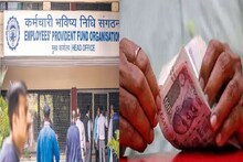 ৩ বছরে সর্বকালীন বেশি সুদ, চাকুরিজীবীদের জন্য সেরা খবর, সুদ হতে চলেছে ৮.২৫%