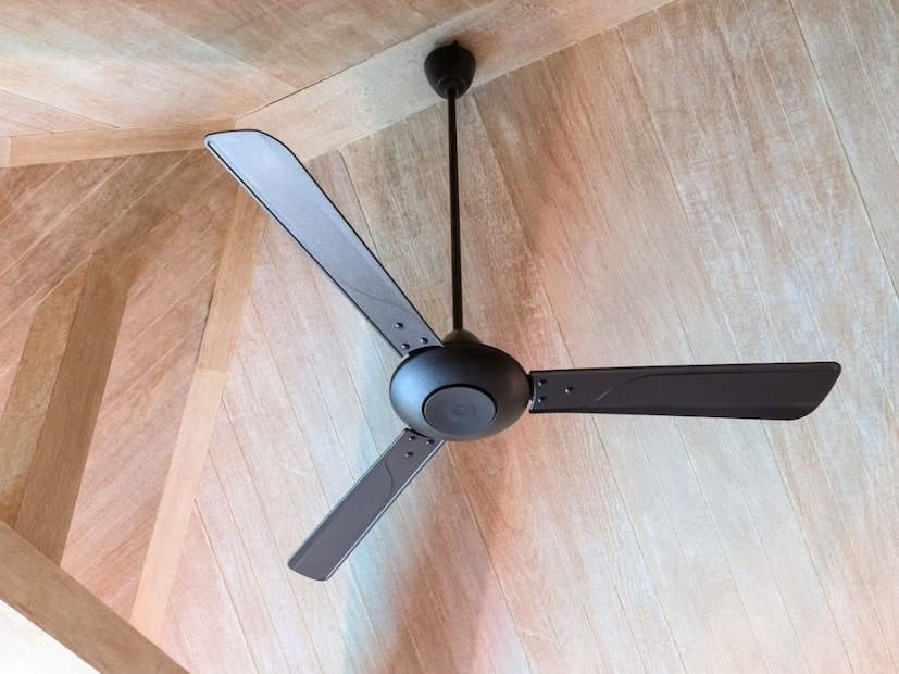 শীতের মরশুম শেষে আবার গ্রীষ্মের হাওয়া বইতে শুরু করেছে। এমন পরিস্থিতিতে অনেক বাড়িতেই ইতিমধ্যে ফ্যানের ব্যবহার শুরু হয়ে গিয়েছে। অনেক বাড়িতেই কুলার এবং এসির উপস্থিতি সত্ত্বেও ফ্যান চলতে থাকে। শীতের মরশুম শেষে আবার গ্রীষ্মের হাওয়া বইতে শুরু করেছে। এমন পরিস্থিতিতে অনেক বাড়িতেই ইতিমধ্যে ফ্যানের ব্যবহার শুরু হয়ে গিয়েছে। অনেক বাড়িতেই কুলার এবং এসির উপস্থিতি সত্ত্বেও ফ্যান চলতে থাকে।