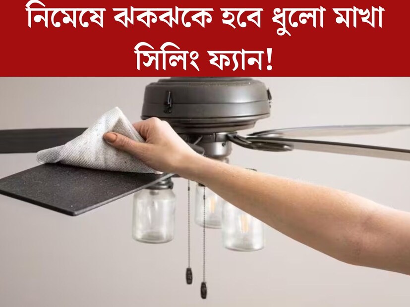 আসতে আসতে বিদায় নিচ্ছে শীত। ফের একটু একটু করে ভাসতে শুরু করেছে ঘাম। এবার বাড়ির সিলিং ফ‍্যান গুলোর ‘শীতঘুম’ কাটিয়ে জেগে ওঠার পালা। তবে ফ‍্যান ঘোরাবার আগে মাথাব‍্যথা হয়ে দাঁড়িয়েছে ফ‍্যানের গায়ে লেগে থাকা একপ্রস্থ ধুলো। অনেকখানি উঁচুতে থাকা ফ‍্যান পরিষ্কার করা মহাঝক্কির ব‍্যাপার। 