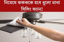সিলিং ফ‍্যান পরিষ্কার করুন এইভাবে, মিনিটে হবে ঝকঝকে! ধুলো থেকে বাঁচবে মাথা,ঘর