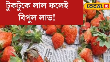 টুকটুকে