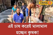 বাজারে বিপুল চাহিদা! কৃষিকাজ ছেড়ে এই ‘চাষ’ করেই মালামাল হচ্ছেন কৃষক