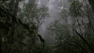 প্রতীকী ছবি