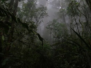 প্রতীকী ছবি