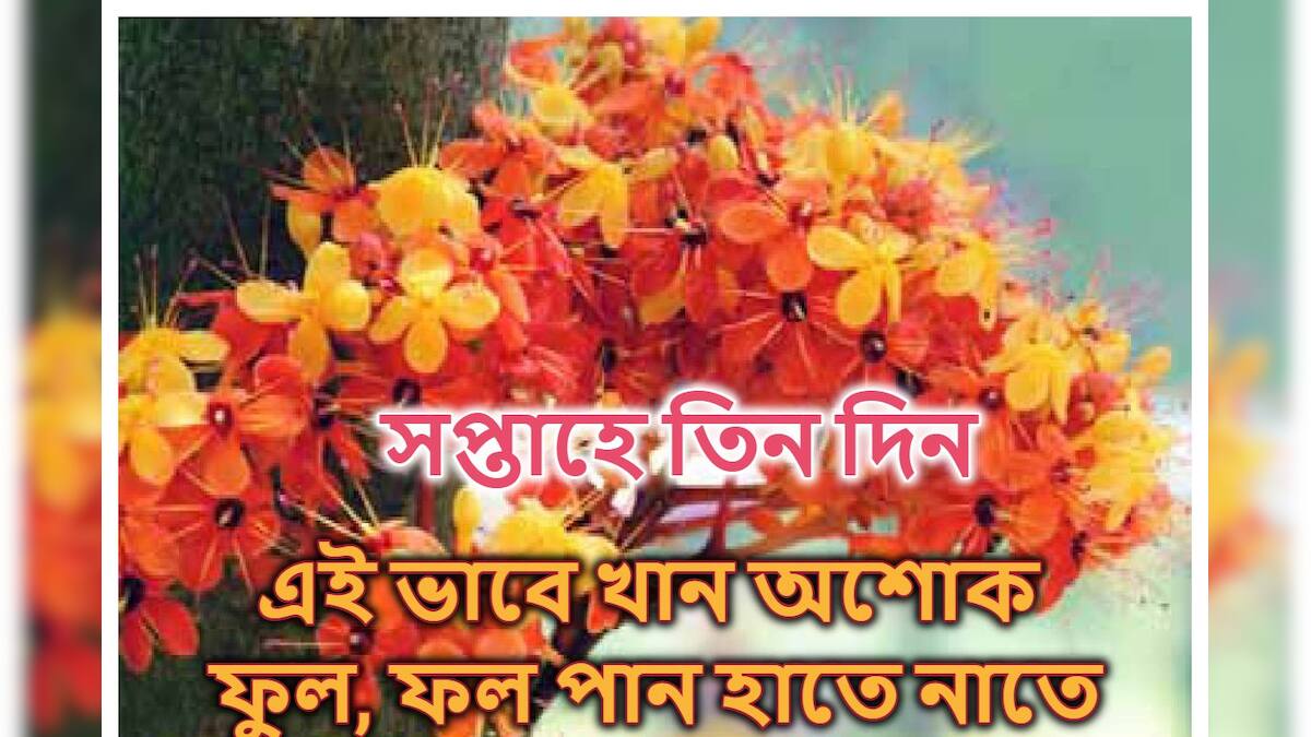Ashoka Flower Benefit শুধু অশোক ষষ্ঠীতেই নয়... ঠান্ডা দুধের সঙ্গে এই