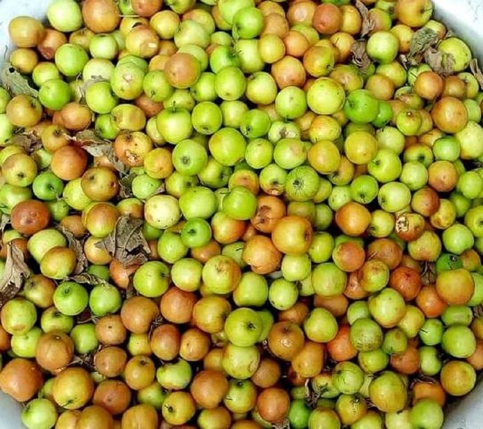 শুধু পড়ুয়ারা নয় এই উত্তর দিতে কাল-ঘাম ছুটিয়েছেন অনেকেই! ৯০ শতাংশ মানুষ বলতে পারেননি! আপনি সঠিক ইংরেজি জানেন তো? না জানলে চট করে জেনে নিন! আর প্রশ্ন করুন অন্যকে! photo source collected 