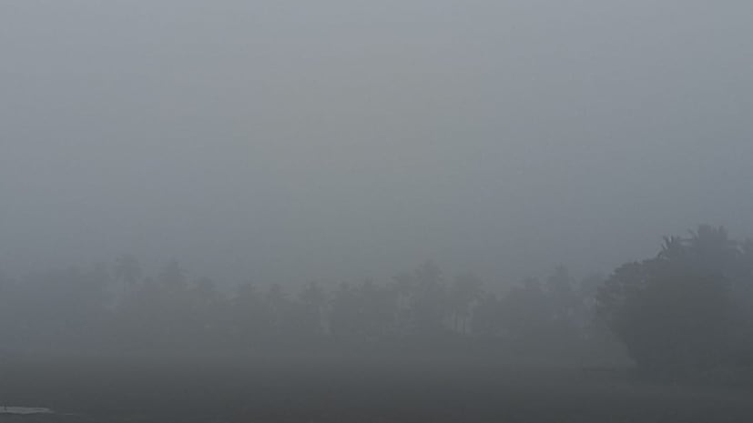 কলকাতা-সহ দক্ষিণবঙ্গের সব জেলাতেই কুয়াশার দাপট থাকবে। দু-এক জায়গায় ঘন কুয়াশার সতর্কতা। দৃশ্যমানতা ৫০ মিটারে নেমে আসতে পারে কোথাও কোথাও।