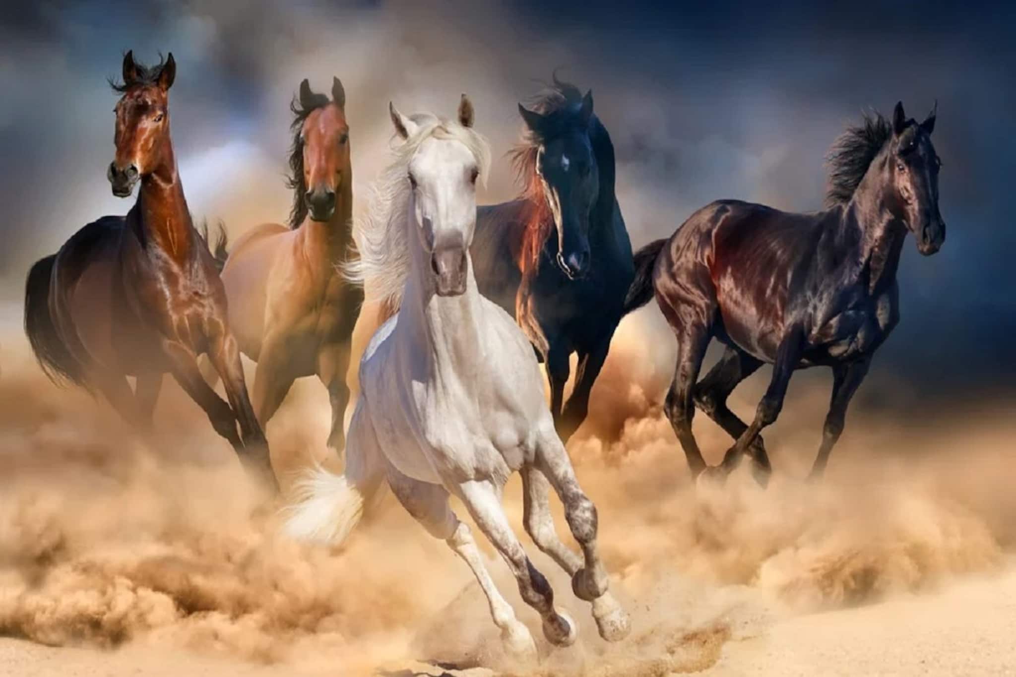 বাড়ির 'এই' দিকে রাখুন ঘোড়ার ছবি, টাকার বন্যা বইবে! কোনদিকে রাখলে তছনছ জীবন?