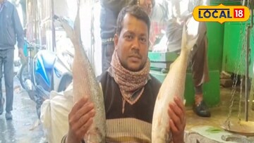 সরস্বতী