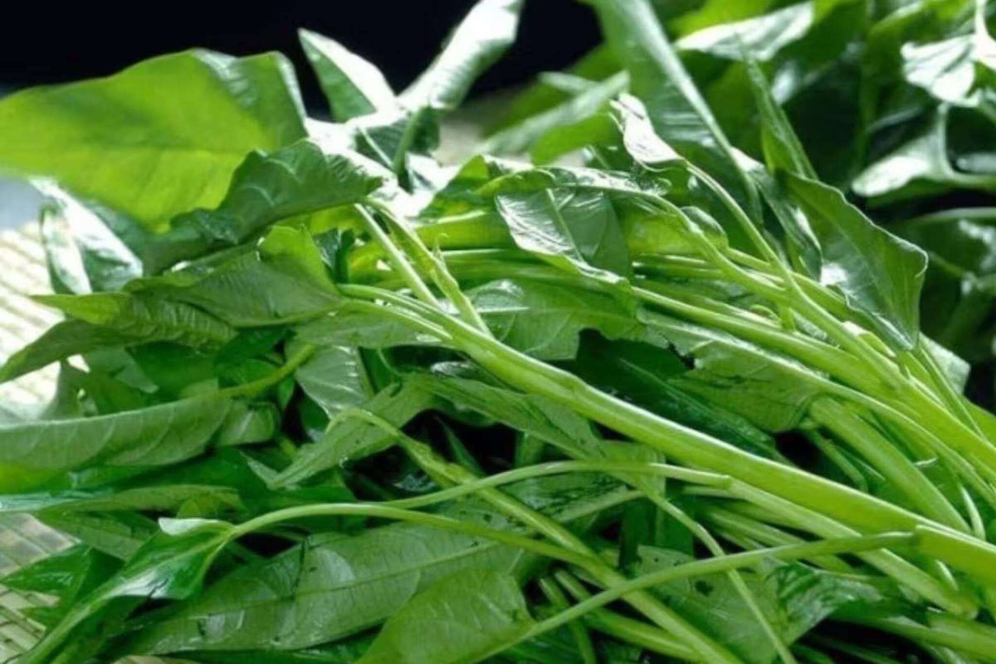 মাত্র ৫ টাকাতেই জব্দ ডায়াবেটিস! অবহেলায় বেড়ে ওঠা 'এই' শাক হাজারও রোগের যম!