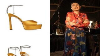 করিশমা কাপুরের দামি জুতো করিশমা কাপুরের দামি জুতো