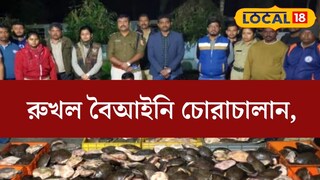 সংখ‍্যায় হাজার হাজার! বিপুল পরিমাণ বেআইনি কচ্ছপ উদ্ধার সীমান্ত এলাকা থেকে