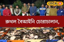 সংখ‍্যায় হাজারেরও বেশি! বিপুল পরিমাণ বেআইনি কচ্ছপ উদ্ধার সীমান্ত এলাকা থেকে