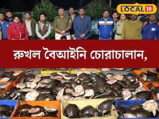 সংখ‍্যায় হাজার হাজার! বিপুল পরিমাণ বেআইনি কচ্ছপ উদ্ধার সীমান্ত এলাকা থেকে