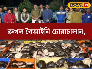 সংখ‍্যায় হাজার হাজার! বিপুল পরিমাণ বেআইনি কচ্ছপ উদ্ধার সীমান্ত এলাকা থেকে