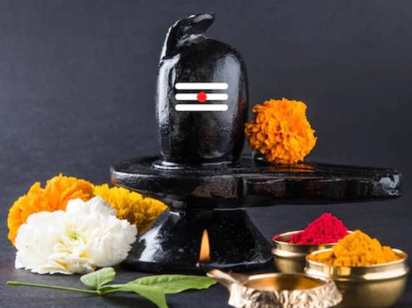 তাহলে চলুন দিল্লির বাসিন্দা জ্যোতিষী পণ্ডিত অলোক পাণ্ড্যের কাছ থেকে জেনে নেওয়া যাক মহাশিবরাত্রির দিনে কোন গাছ লাগালে ভাল হয়?