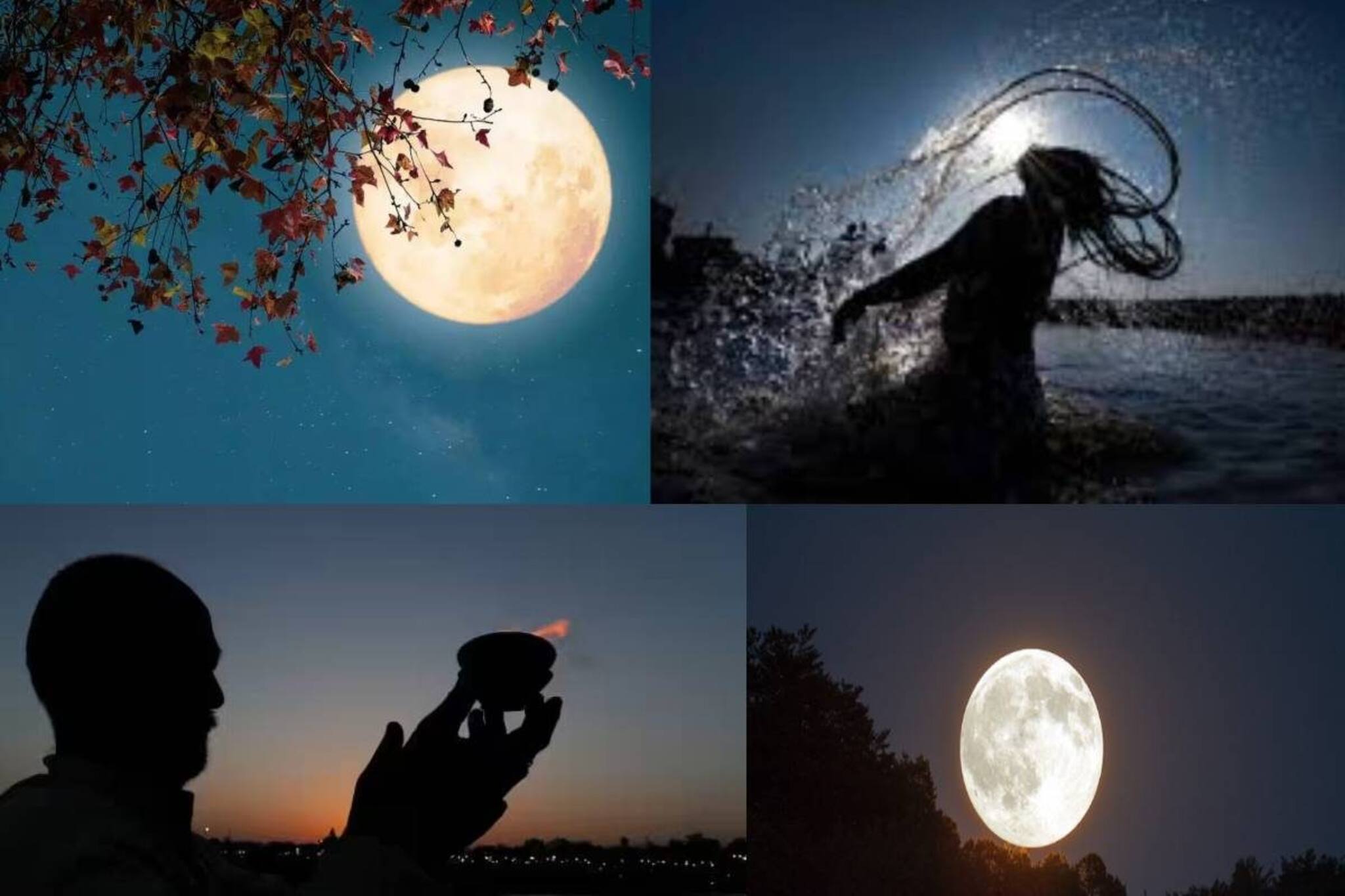 প্রতি পদে বাধা! আজ মাঘী পূর্ণিমার পুণ্যতিথিতে তছনছ হতে পারে এই ৩ রাশির ভাগ্যচাকা