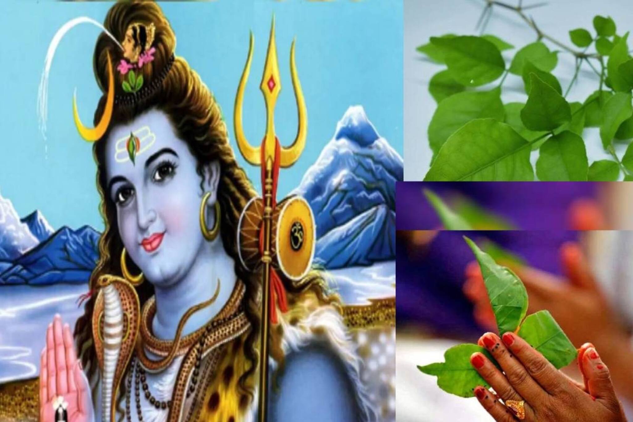 মহাশিবরাত্রিতে মহাদেবকে বেলপাতা দেওয়া হয় কেন? পুজোয় সেরা বেলপাতা কোনটা, জানুন