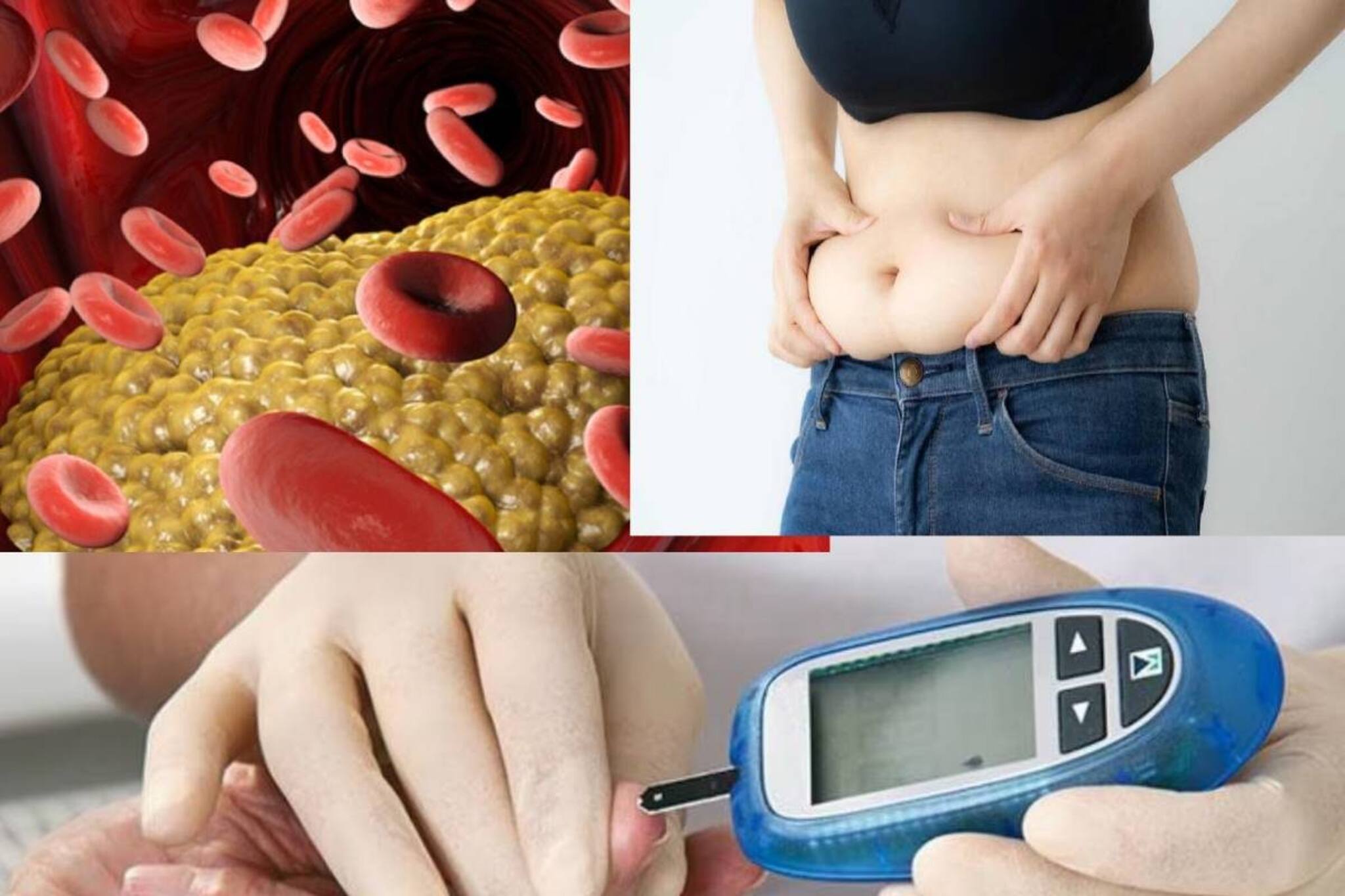 খাওয়ার পরই এই কাজ ভুলেও নয়! বাড়বে তলপেটের মেদ, কোলেস্টেরল ও ডায়াবেটিস