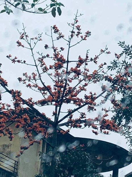 একদিনেই সর্বনিম্ন তাপমাত্রা বেড়েছে ৩ ডিগ্রি। অথচ খাতায় কলমে মাঘ মাস এখনও ক্যালেন্ডারে আছে। কিছুদিন আগেও মাঘের মাস টের পাওয়া যাচ্ছিল সত্যিই বাঘের গায়ে।