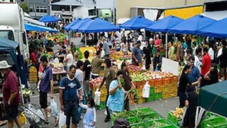 নিউজিল্যান্ডের বাজারে গিয়ে সবজির দাম শুনে রীতিমতো আকাশ থেকে পড়লেন বৃদ্ধ, ভাইরাল হল সেই ভিডিও নিউজিল্যান্ডের বাজারে গিয়ে সবজির দাম শুনে রীতিমতো আকাশ থেকে পড়লেন বৃদ্ধ, ভাইরাল হল সেই ভিডিও