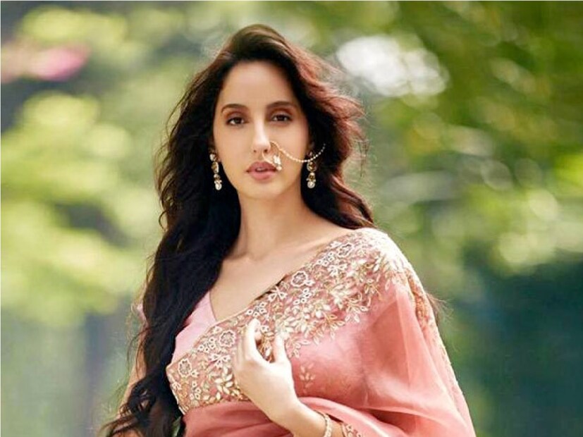 বলিউড অভিনেত্রী নোরা ফাতেহি কানাডায় মরক্কোর বাবা-মায়ের কাছে বড় হয়েছেন। তবে অভিনেত্রী ভারতে থাকেন। তবে ভারতীয় নাগরিকত্ব না থাকায় তিনি লোকসভা নির্বাচনে ভোট দিতে পারবেন না।