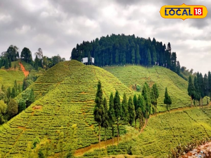 পালমাজুয়া হল একটি পাহাড়ি গ্রাম। দার্জিলিংয়ের কাছেই ৫৫০০ ফুট উচ্চতায় অবস্থিত পালমাজুমা অসম্ভব সুন্দর একটি অফবিট লোকেশন।