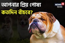 প্রিয় পোষ্য কুকুর কতদিন বাঁচতে পারে? নাক দেখেই মিলবে হিসেব! আপনিও জেনে নিন