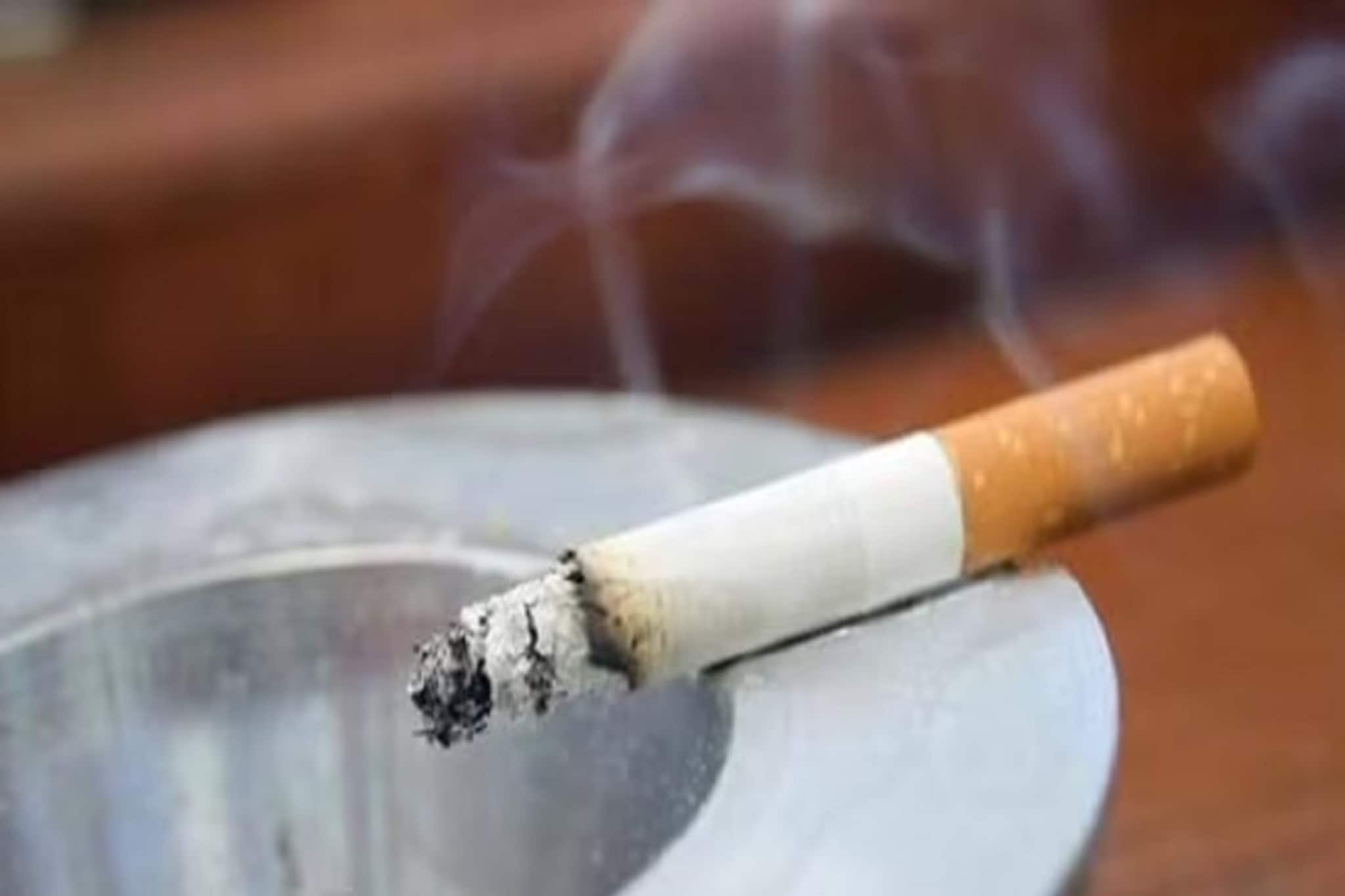 সিগারেট ছাড়া ১ দিন? এতেই অস্বস্তি হচ্ছে? জানেন 24 ঘণ্টায় কী বদলাল শরীরে!