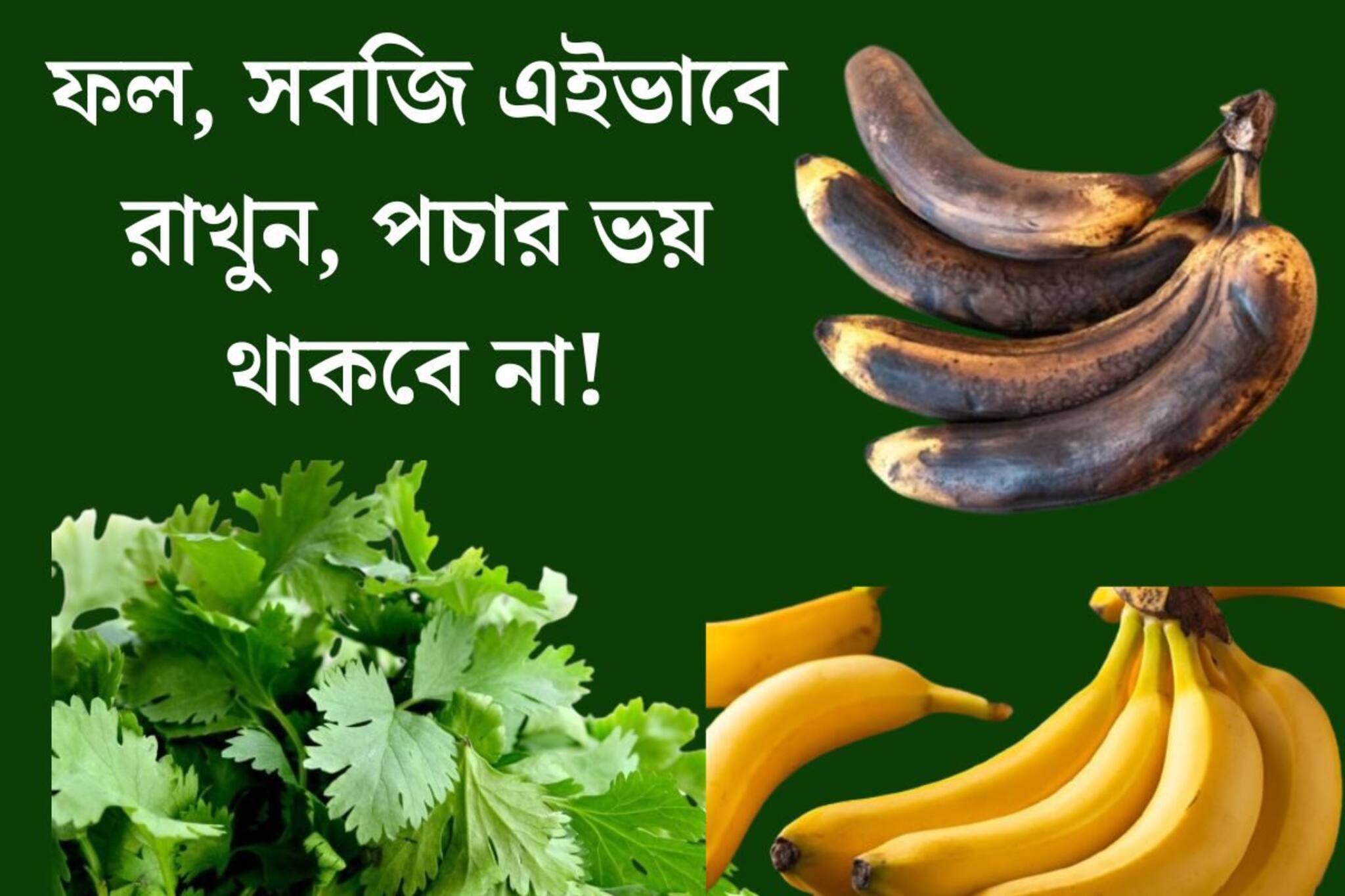 দু'দিনেই কালো কলা, পচছে ধনে পাতা! এইভাবে স্টোর করুন, বহুদিন টাটকা থাকবে ফল, সবজি