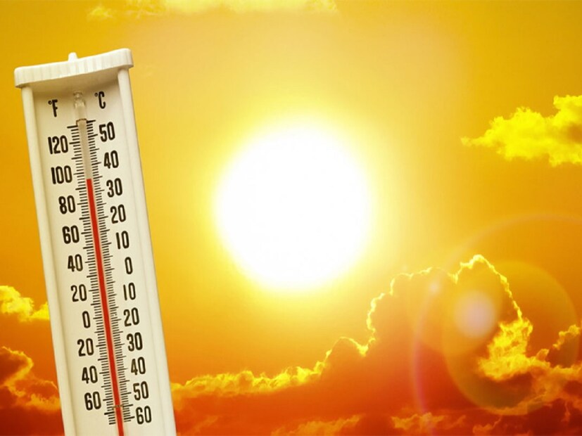 IMD Heatwave Alert: প্রচণ্ড তাপ দীর্ঘস্থায়ী হলে ডিহাইড্রেশন হতে পারে এবং বিদ্যুপরিবহনে সমস্যা দেখা দিতে পারে বলেও জানিয়েছে আবহাওয়া দফতর।
