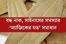 ঠান্ডা-গরমে বন্ধ নাক? সাইনাসে কাবু? একটি পাতাতেই কাজ হবে ম‍্যাজিকের মতো