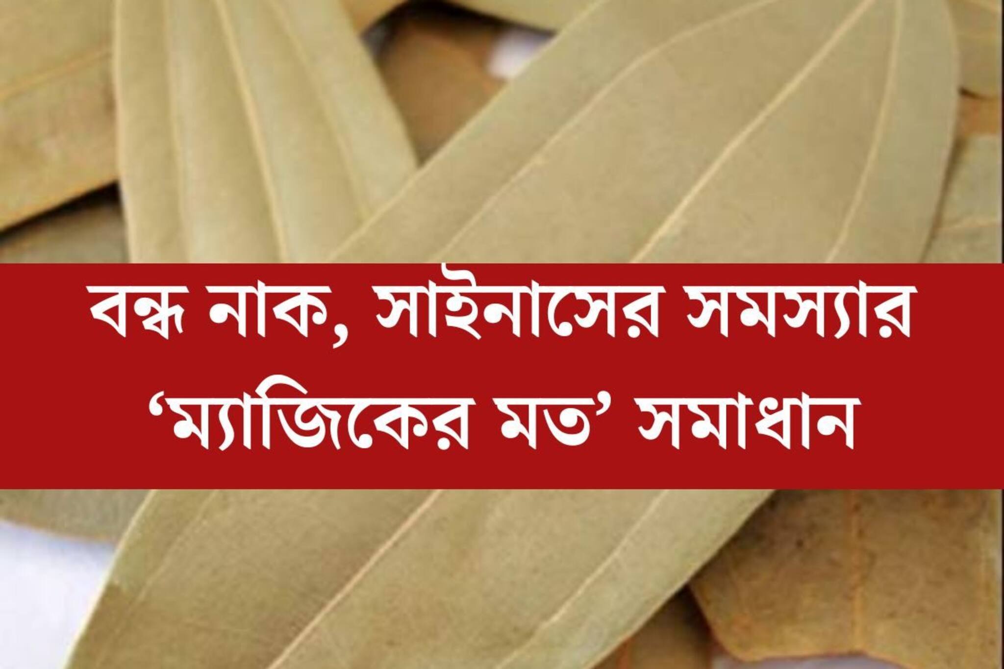 ঠান্ডা-গরমে বন্ধ নাক? সাইনাসে কাবু? একটি পাতাতেই কাজ হবে ম‍্যাজিকের মতো