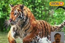 কাঁকড়া ধরছিলেন, গর্দানে থাবা বাঘের! ছেলেদের কাছে ফেরা হল না প্রদীপের